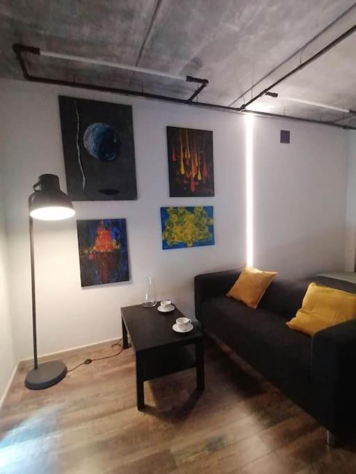 Erdvi Studija Spacious Studio Apartment Self Check In VNO Exterior foto